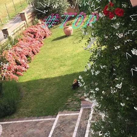 Esclusive Castrocielo