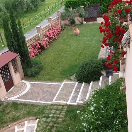 Anna Guest house